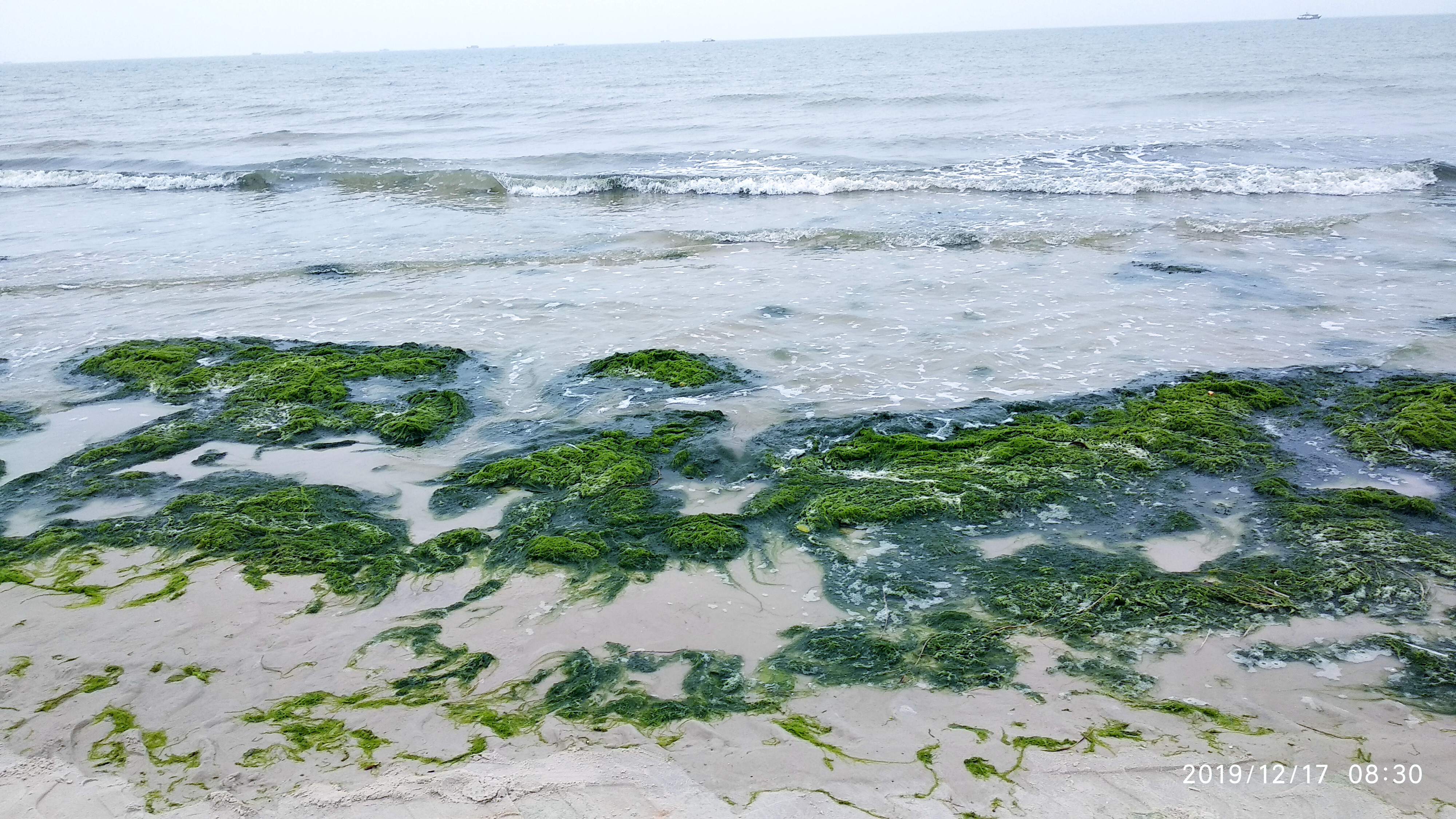 青海|有一种幸福叫冬日里的夏天,拥有最温暖的海风,她就是北海