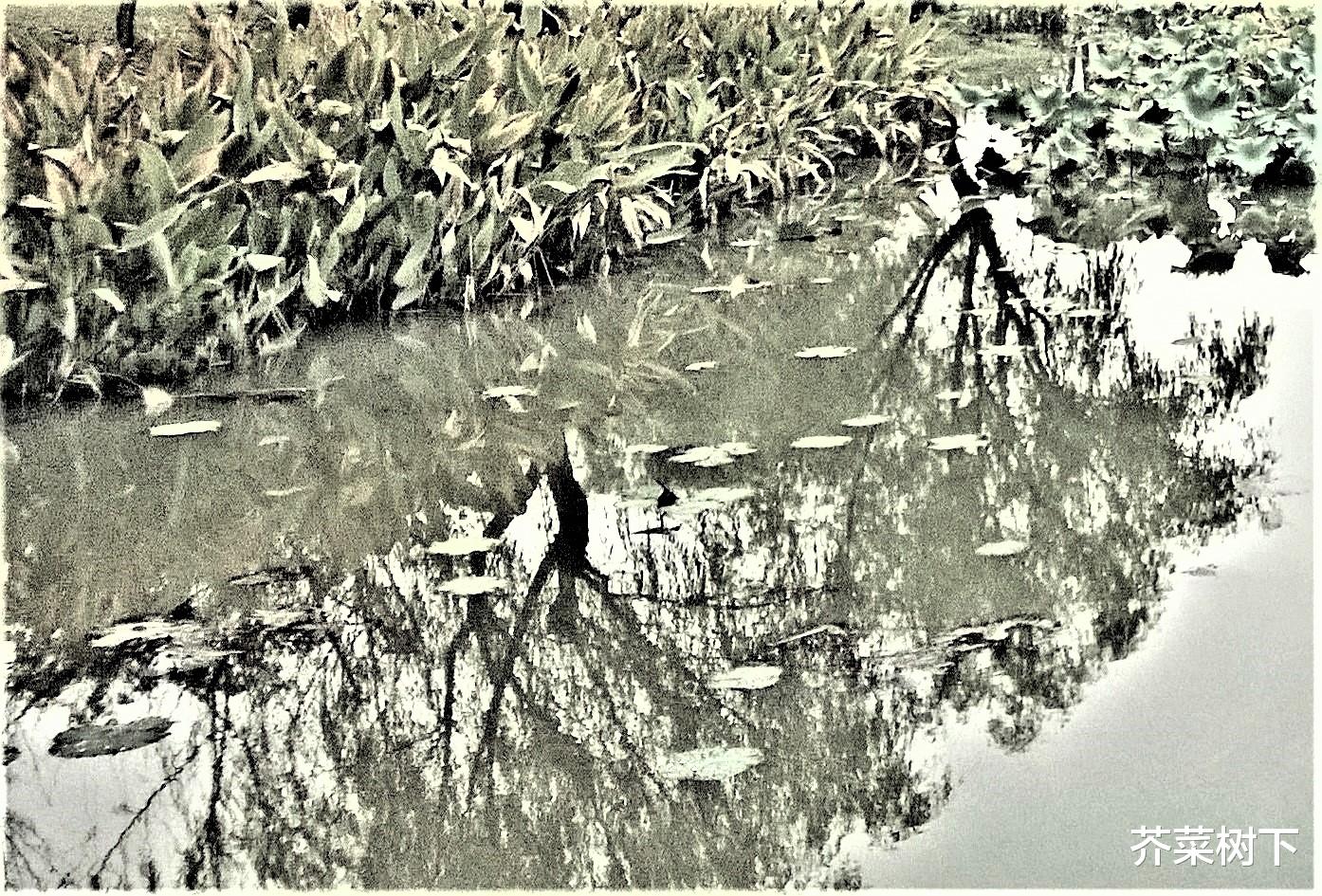 |职场一味索取，最终无所可取