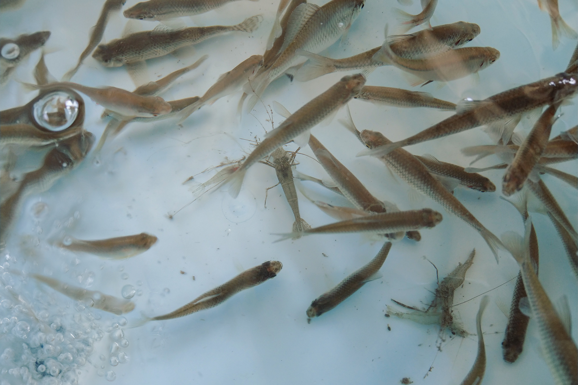 移动电源|1万块的移动电源，玩过后竟然不觉得亏，百克龙E3000户外电源体验