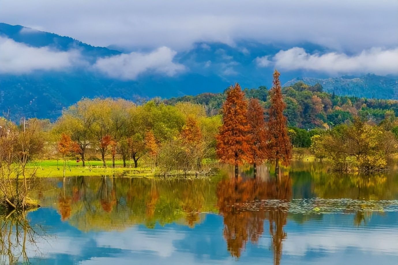 柿子|秋风起，秋色染，雾里乡村——坡山秋景美如画，皖南！