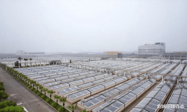 ?海天酱油员工表明立场,聊天记录被曝光:口无遮拦!