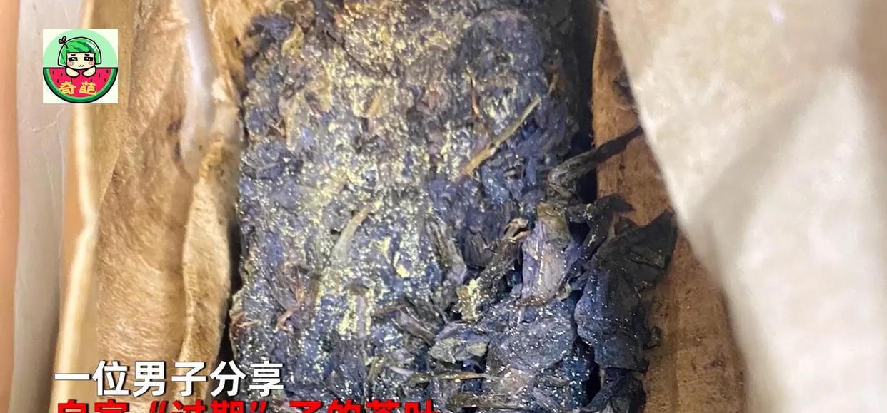 涨见识了!男子发现礼品茶发霉长菌,正欲丢弃被网友阻止:好东西