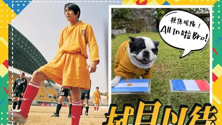 周星驰|猜中阿根廷队战胜法国队，周星驰的爱犬也要加入预测帝队伍吗？