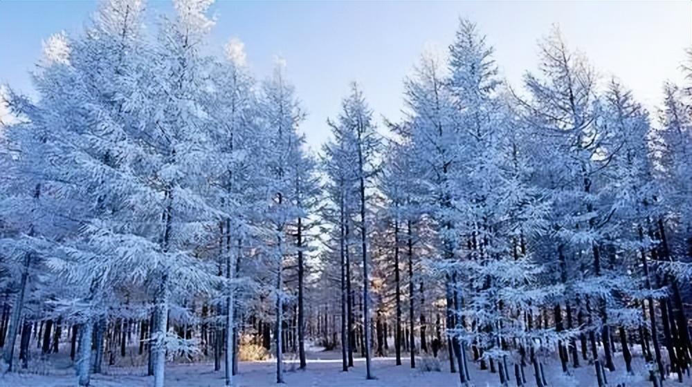 长白山|一路向北，去看看中国最纯粹的冬天