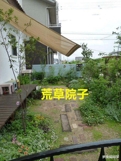 我家要有个庭院,就会在花坛延伸卡座,铁丝网包鹅卵石,独一无二