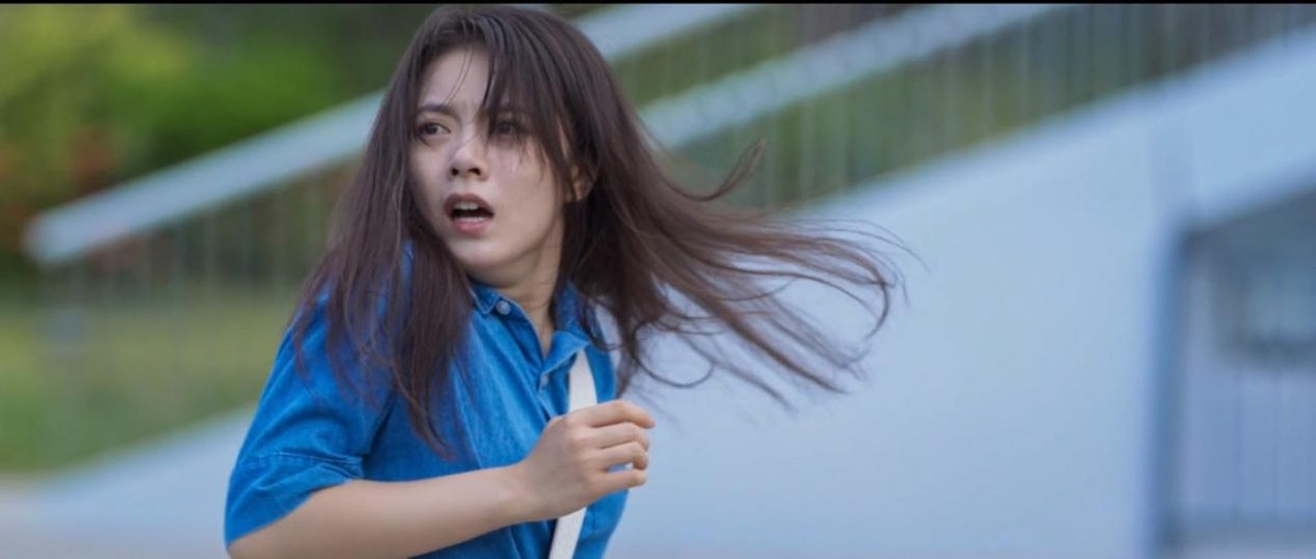 赵赫|播放量破3500万，豆瓣被好评刷屏，白敬亭一出手就是王炸剧