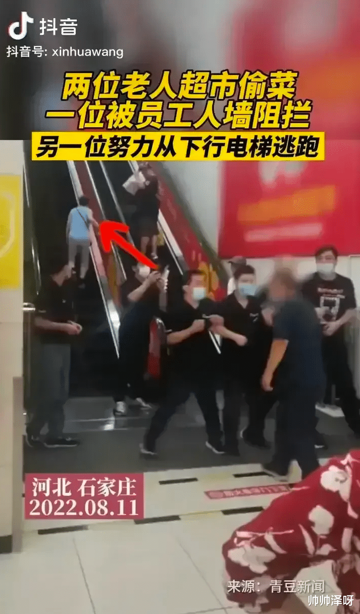 一对老人偷菜发现却被放走,工作人员:年纪大了,不敢动