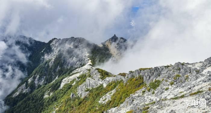 郁亮|万科郁亮的讲话很吓人，却佐证了家电转型的前瞻性！