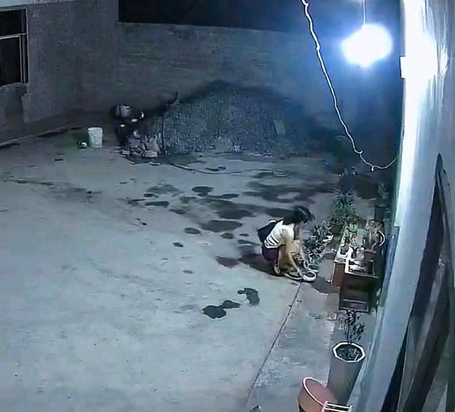 父母双亡,独生女离异后独居娘家,形单影只无人陪伴,让人心疼