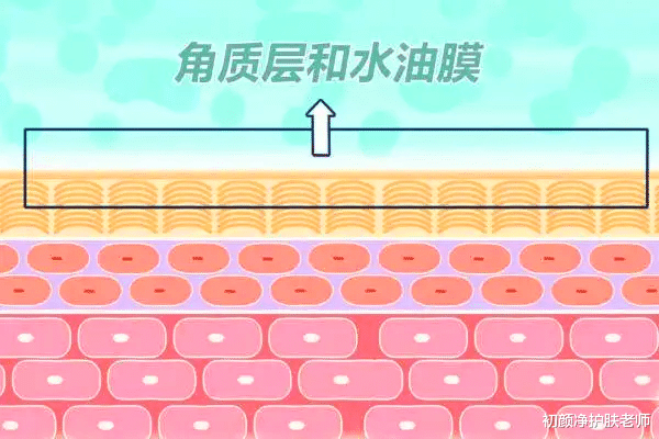 运动 春天皮肤泛红不适要慎重，怎么解决看这篇！