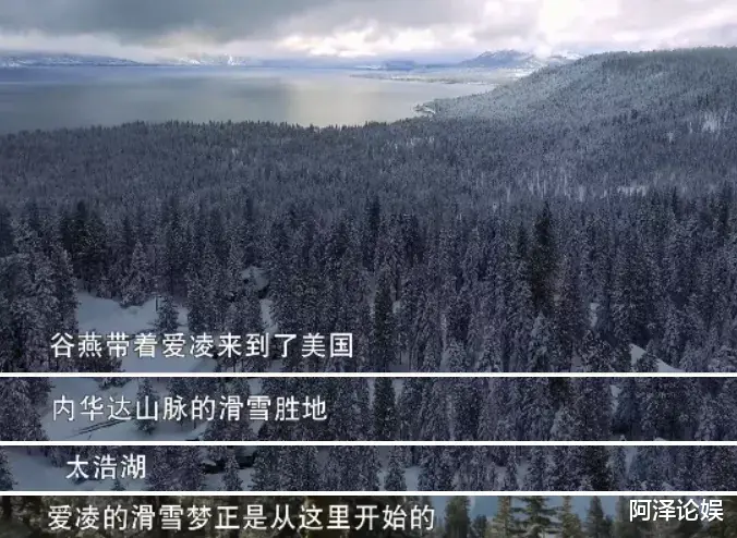 谷爱凌|谷爱凌夺冠24小时后，让人意想不到的事情发生了