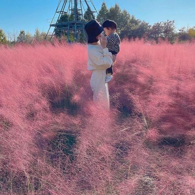 参观完她家,才知什么叫“高级美”,全屋大白墙,竟没有一点俗气