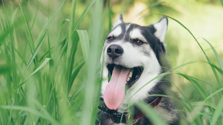 香港|猫巫先生十二星座周运2023年2.6-2.12：走出迎合，做自己