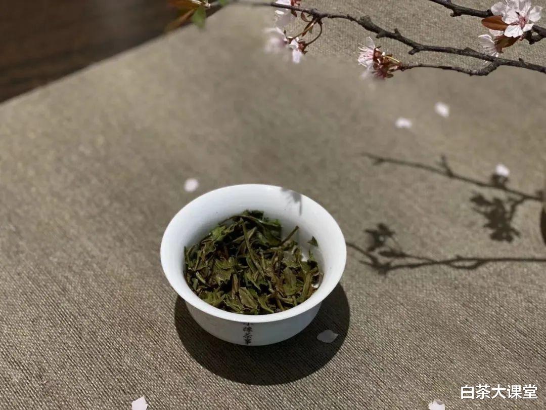 茶友来信:我的白茶饼好像发霉了,撬开后里面还能不能喝?