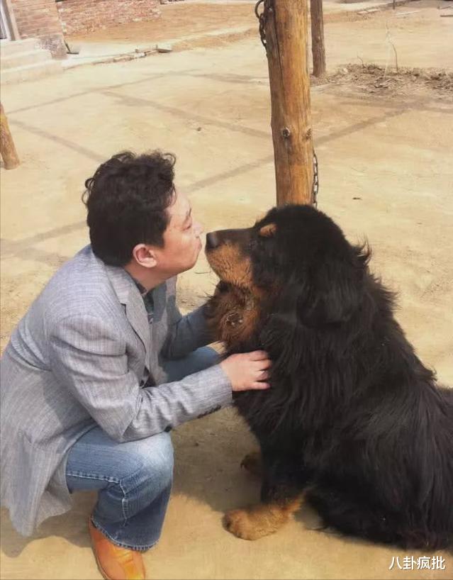 于谦|于谦持股公司赔533万！