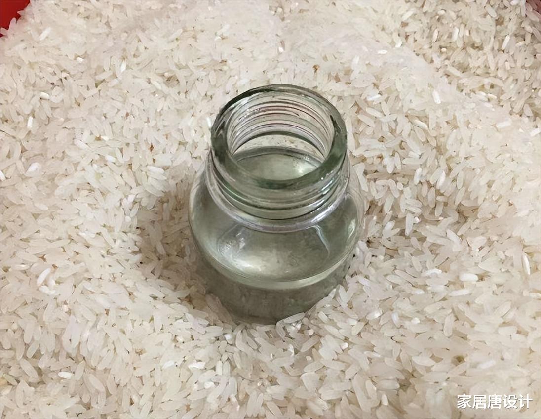 大米|想要大米不生虫，就试试这4个方法，实惠又好用，快分享给家人