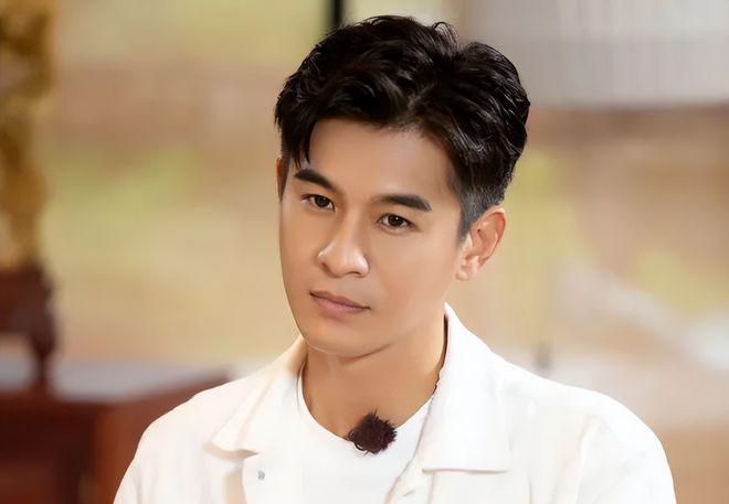 林允|定档开播！县委大院后刘涛又一部好剧来袭，主角团个个都是高手