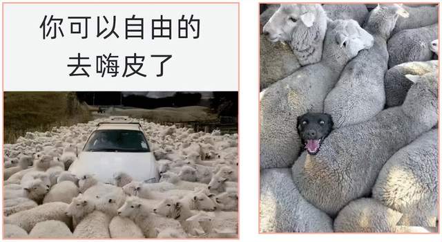 发热门诊|试管人“阳了”，后续就诊如何应对？居家、饮食要注意什么？