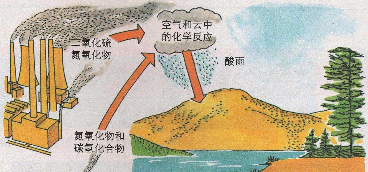 银行|红砖建房农村沿袭千年，为何会被国家禁止？那农民又该怎么建房？