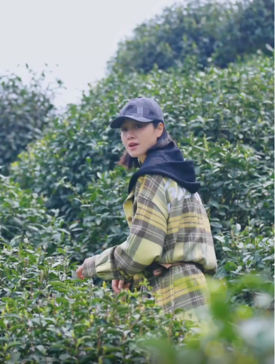 朱丹|40岁朱丹带娃采茶叶!素颜出镜肤色雪白,4岁女儿长相精致情商高