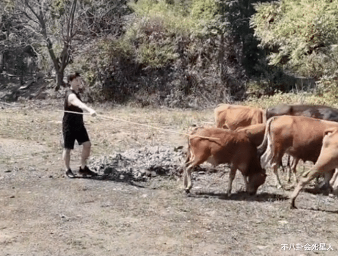 明星|金窝都不如自己老窝！5位明星乡下养老，务农、摆摊还有人建别墅