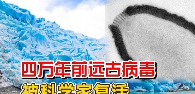 极地生物灭绝开启?本世纪末65%南极本土物种将消失,病毒将苏醒