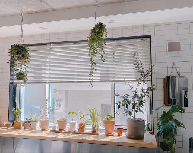 衣帽间|41岁郑丽媛独居19年,书墙衣帽间那叫一个震撼,简直是人间理想