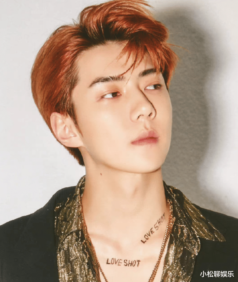 EXO|金俊勉透露EXO将以完整体回归,带来新的作品,期待一下吧