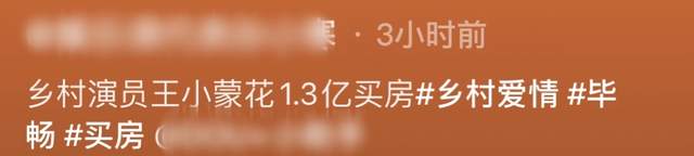 毕畅|曝乡爱王小蒙买新豪宅，斥资1.3亿住广州塔旁，前夫入狱独养俩娃