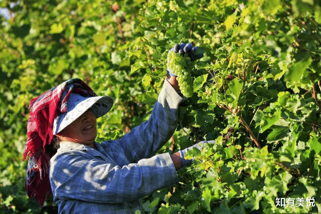 新疆维吾尔自治区|8个一生必去的小镇,“世外桃源”,简直美翻了,你想打卡哪个?