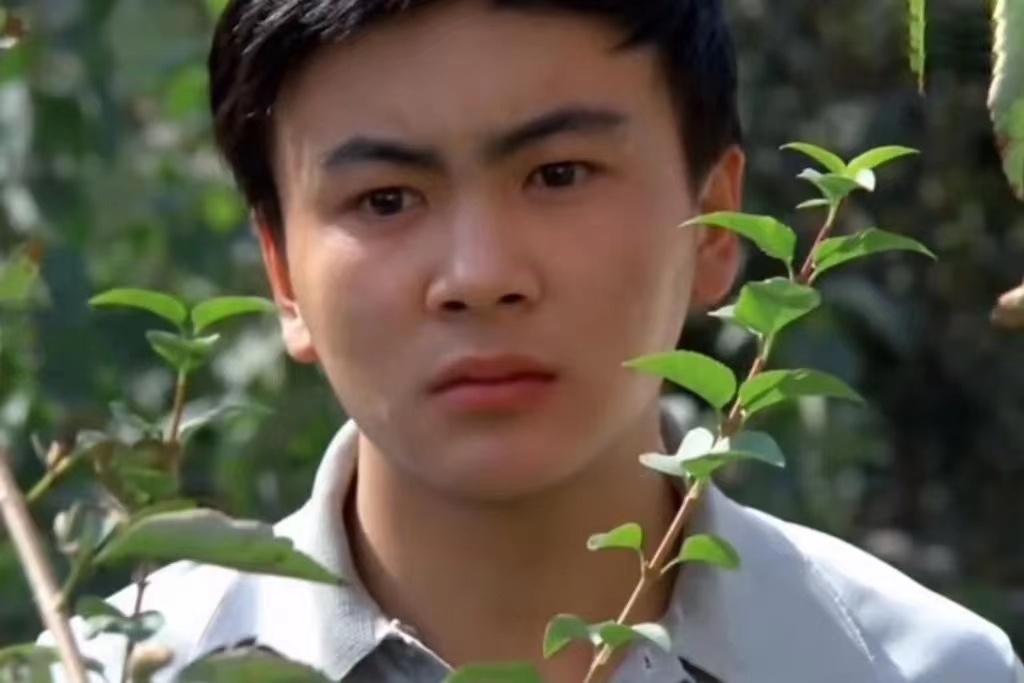 沈腾|年轻时帅到惊为天人，然而花期短暂中年发福，颜值坍塌的8位明星