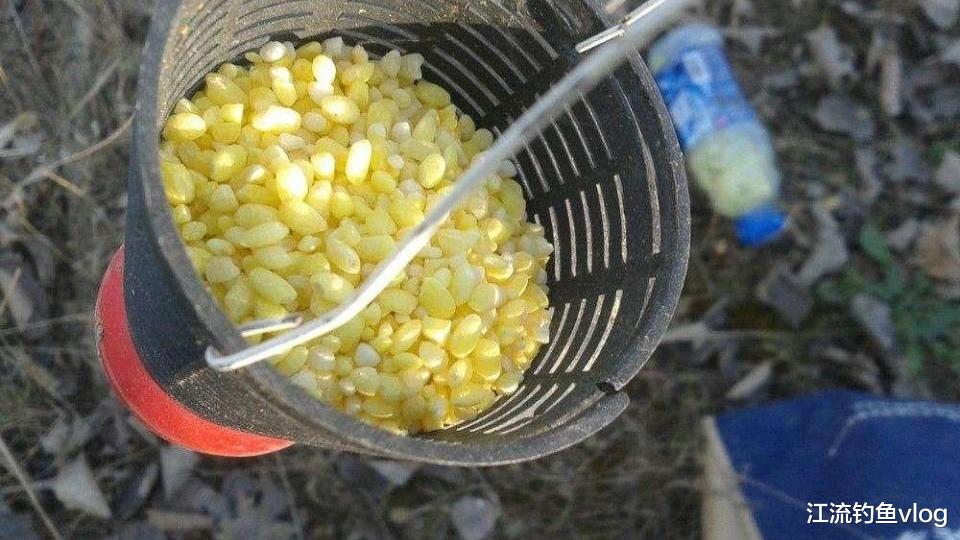 |鱼窝冒泡,就是不上鱼,哪个环节出问题啦?