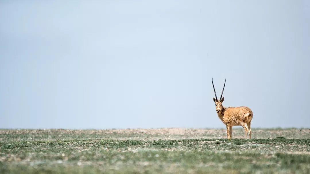 敦煌|风光最极致的大西北,跟着老司机玩了一趟,沿途美到封神!