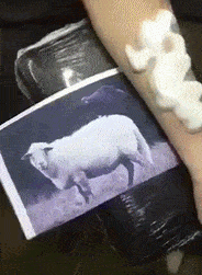 打麻将|陈若仪和LISA：嫁给美男子的两种结局