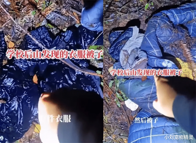 胡鑫宇失踪58天迎来反转！学校嫌疑被排除，光头未被抓，又回原点