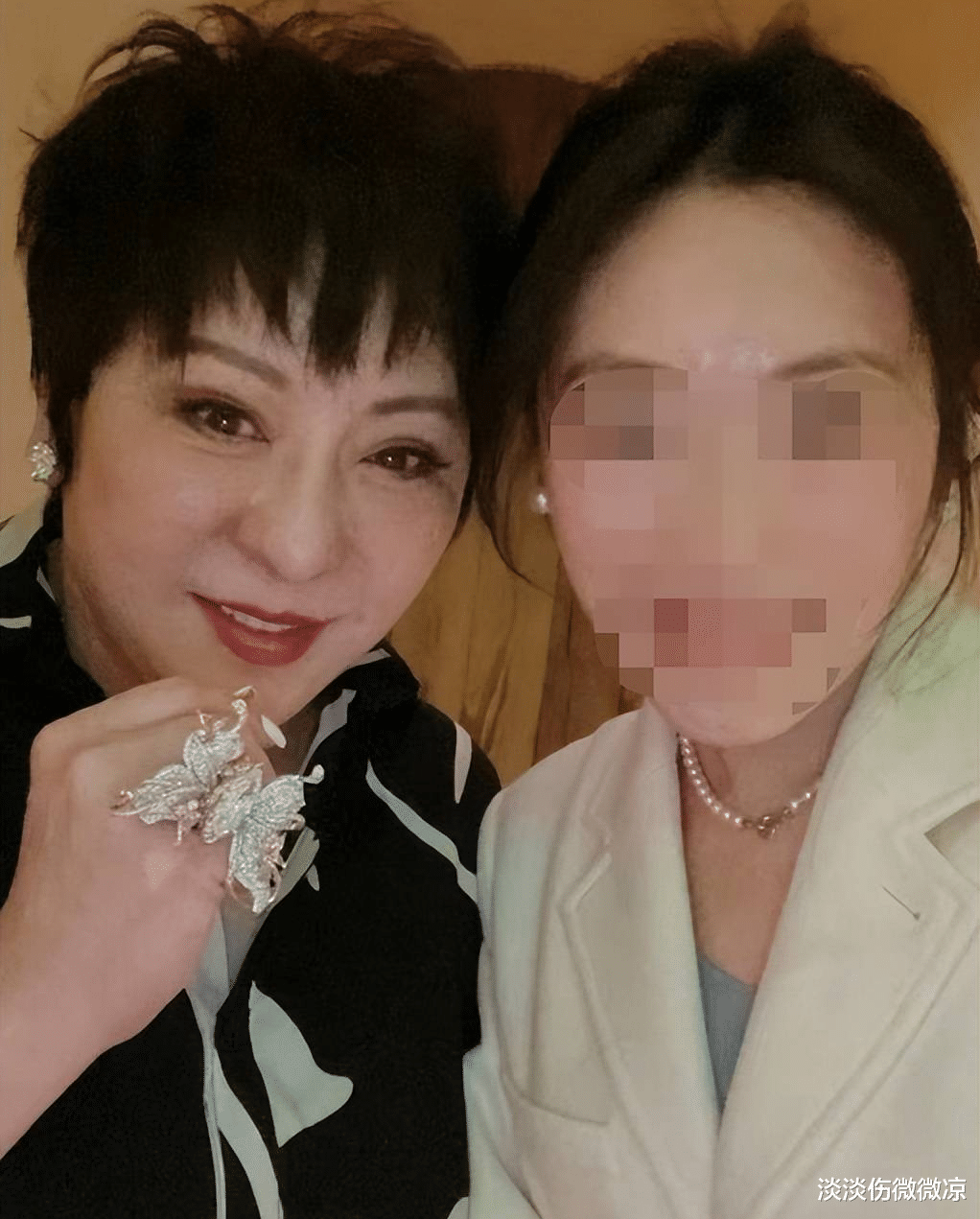 网友餐厅偶遇向太,两人温馨合影,向太手上巨型钻戒太亮眼
