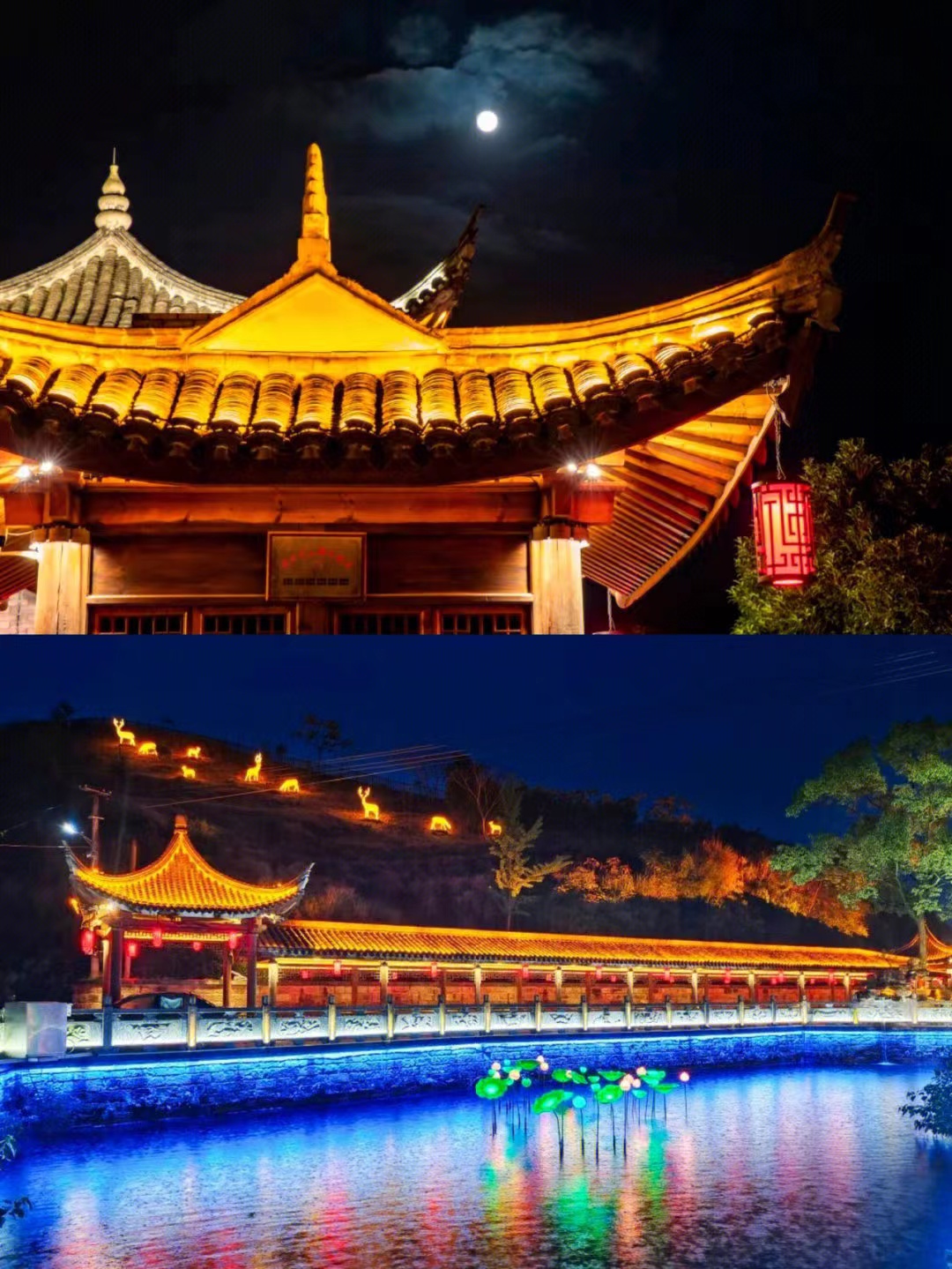 牛背梁|宁波周末去哪儿玩？大家安利三个好去处，一起去畅游宁波