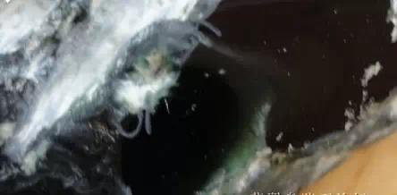 翡翠|13种翡翠原石灯下现原形