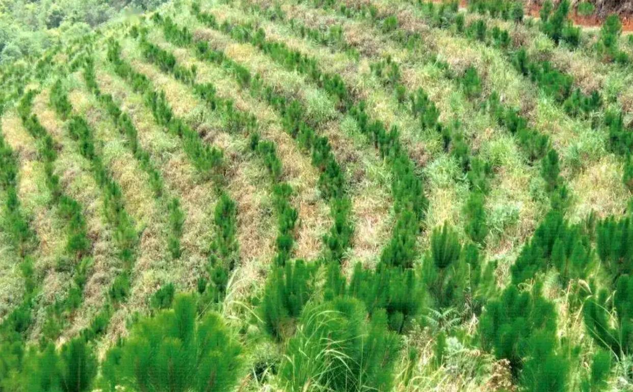 留给人类时间不多了!全球变暖,地球淡水更少,这绝对不是好事情