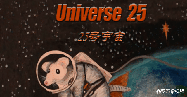 令人绝望的“25号宇宙”科学实验，在人造天堂里，鼠群却自我毁灭