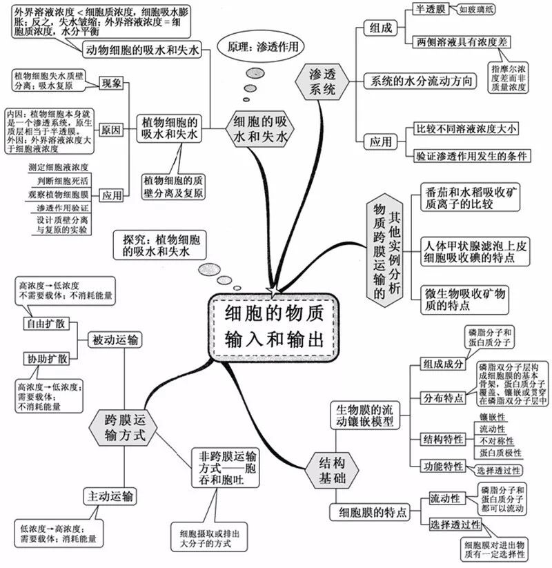 初中生物:重要知识点图解,内容清晰明了、简单易懂
