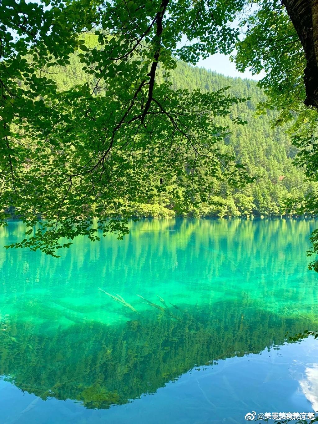 |夏天的九寨沟,绿意盎然,水幽蓝深邃,太美太凉爽