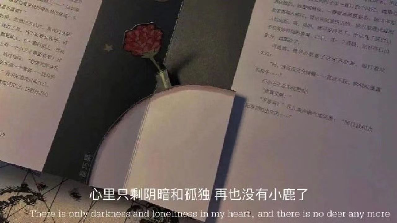 |适合心情低落时发的文案