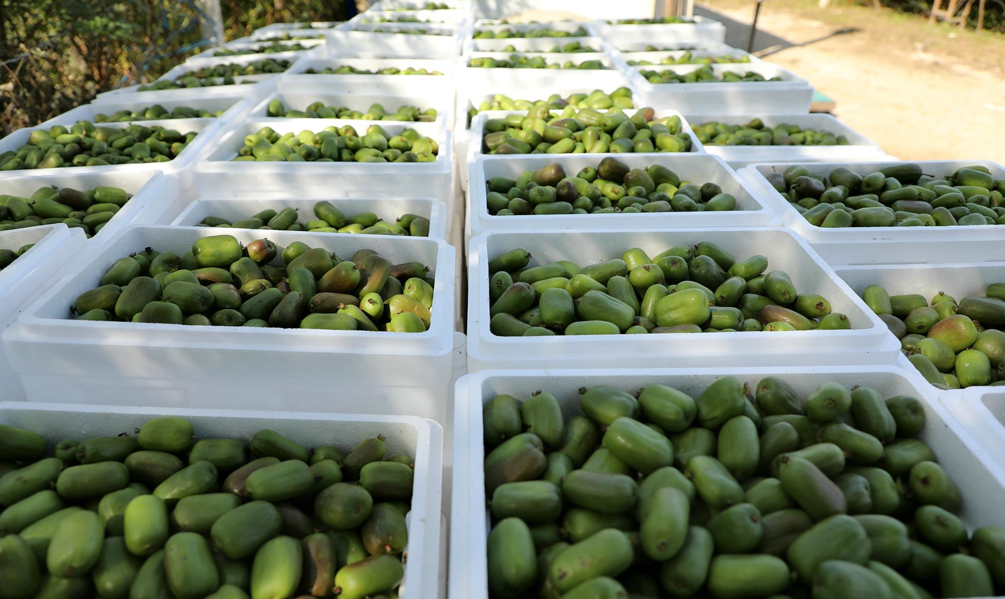 发型 年入20万的美发不干,回乡务农一赔再赔,46岁东北男子咋还坚持?