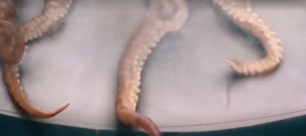 周星驰|周星驰坐飞机看望她父母，和星爷通话嗑瓜子，美人鱼2女主还是她