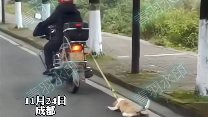 好狠的心！四川一男子虐待狗，将其拴在车后拖行一公里，路人怒了