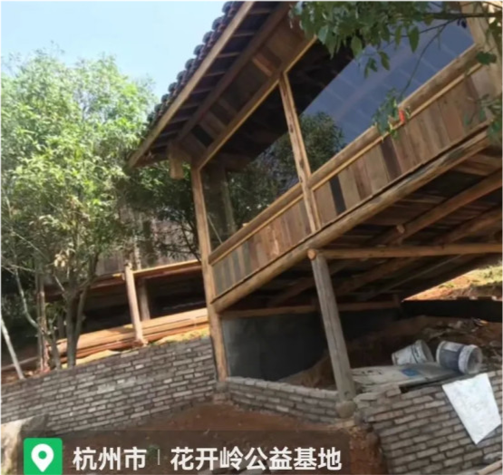 孙悦|破案了!孙卓出来玩不耽误学习吗?姐姐孙悦道出原因,还普及知识