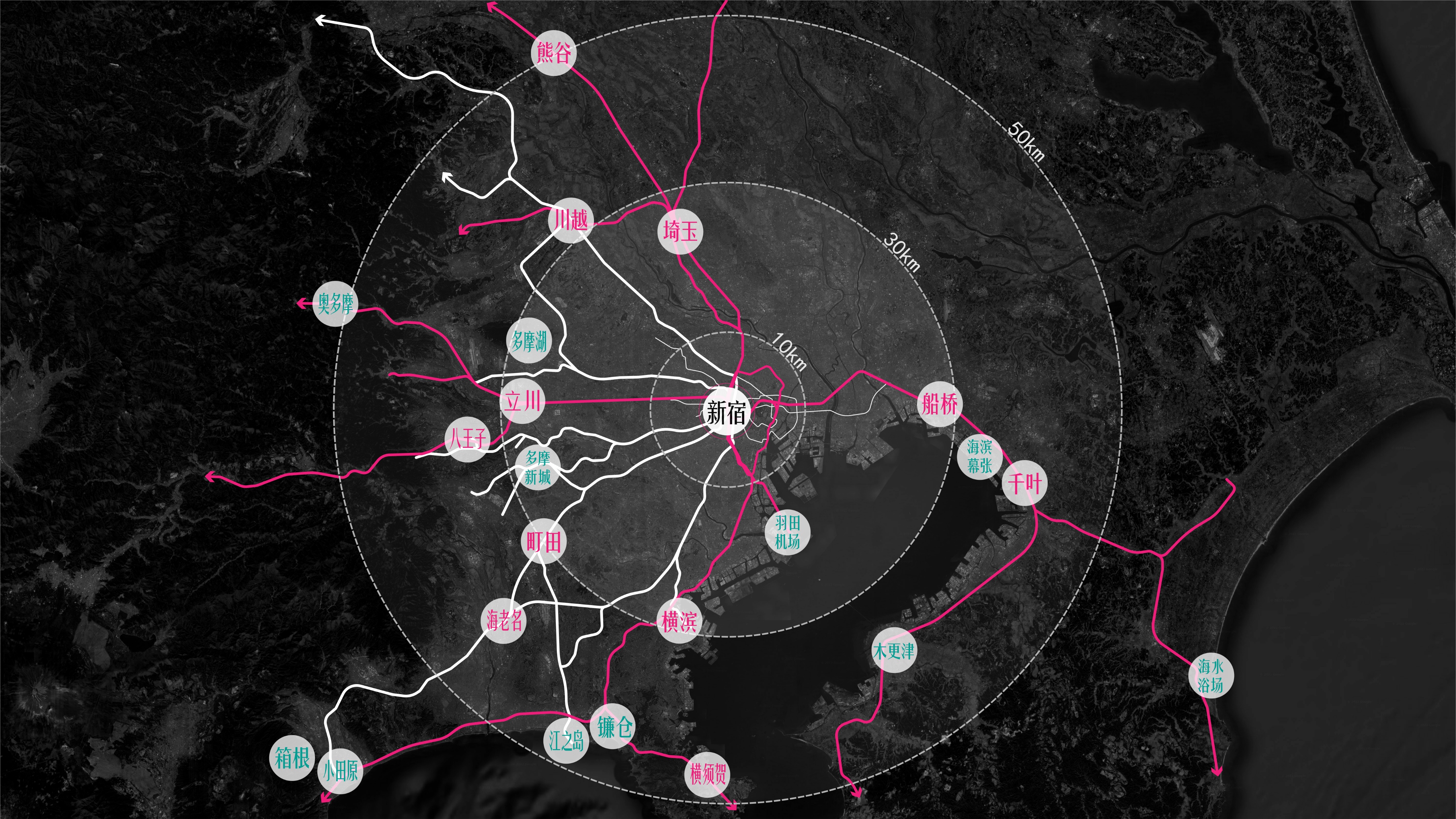 隆阳|打破世界纪录、日漫中的网红景点，这个“世界最忙车站”有多忙？
