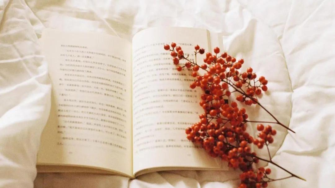 李诞|盘点李诞说过的话