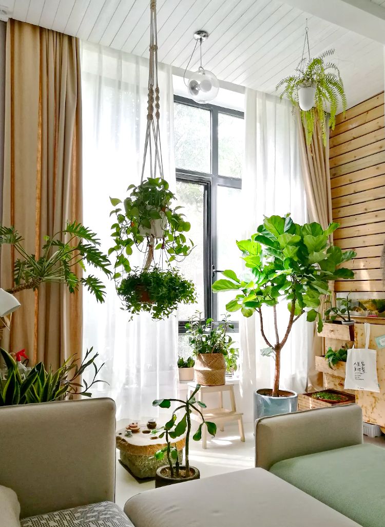 阳台不装门,千万别瞎“砸墙”扩容面积,装修必看!